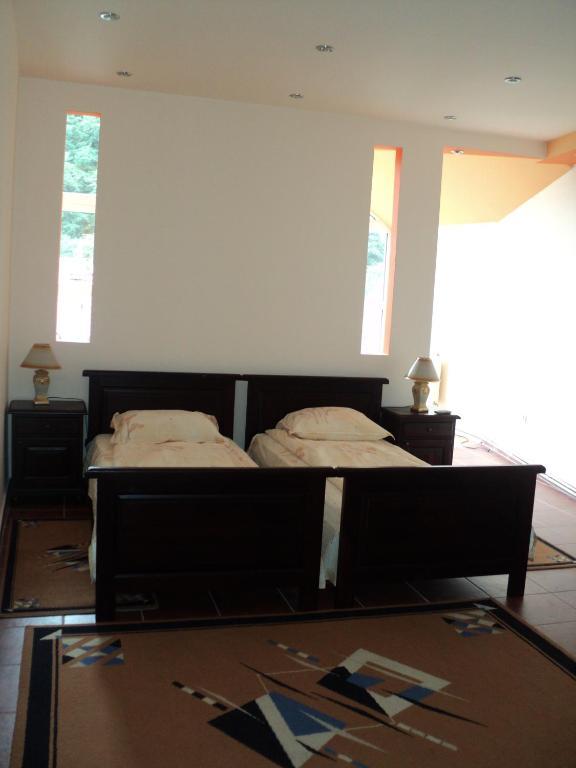 Pensiunea Irina Tilişca 部屋 写真