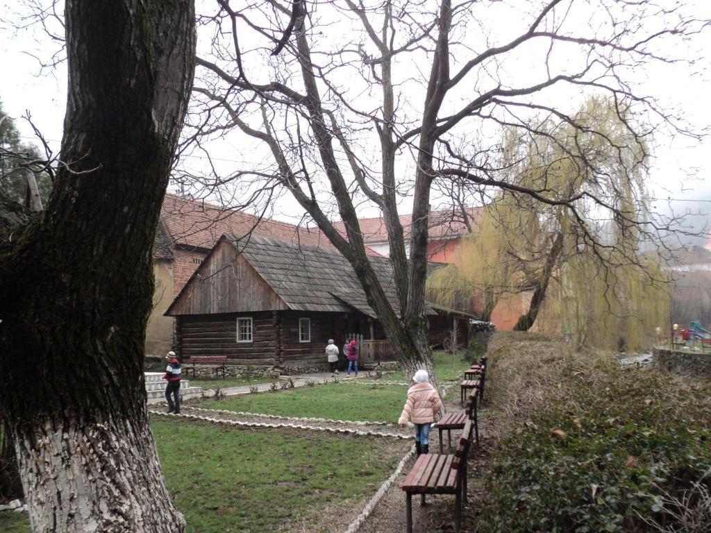 Pensiunea Irina Tilişca エクステリア 写真